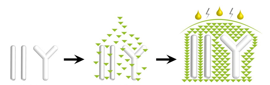 bio-supporttm