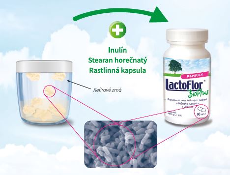 Lactobacillus