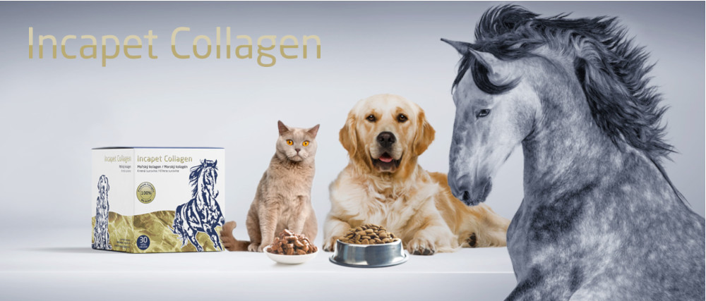 incapet collagen