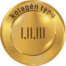 kolagén typu I,II,III