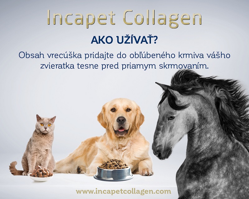 ako užívať incapet collagen