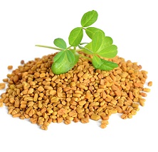 Pískavice