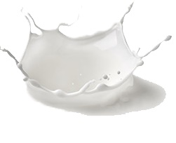 Colostrum