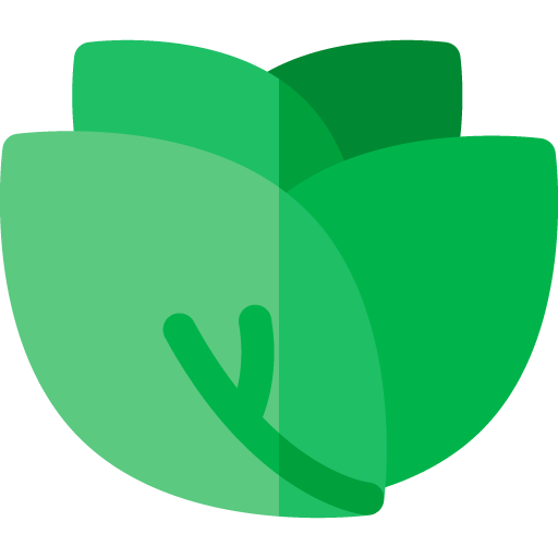 Lettucee