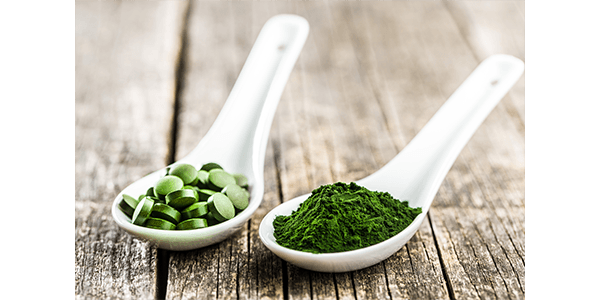 Chlorella