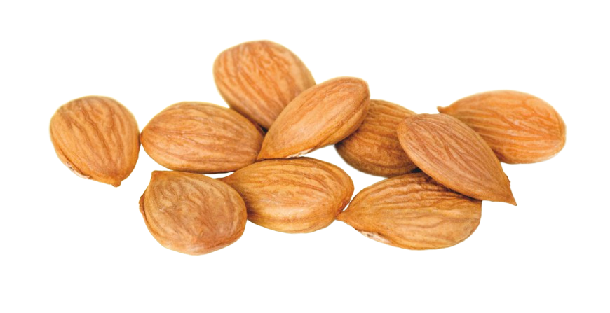 B17 APRICARC, 100 % prírodné zloženie , pre celiatikov , silná kombinácia prípravku, obranyschopnosť, obehový systém, metabolizmus, činnosť srdca, únava, zdravá pokožka, tráviaci trakt, hliva ustricová, marhuľový olej, Marhuľové jadrá