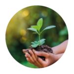 Generica, Prémiová kvalita produktov, certifikovaná výroba, Vitamíny skupiny B, Trávenie, detoxikácia, Imunita, Dôležité vitamíny a minerály, Výživové doplnky pre deti, VÝVOJ ZALOŽENÝ NA NAJNOVŠÍCH POZNATKOCH, ŠETRNÝ PRÍSTUP K ŽIVOTNÉMU PROSTREDIU