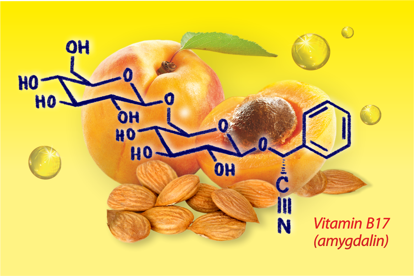 B17 APRICARC, 100 % prírodné zloženie , pre celiatikov , silná kombinácia prípravku, obranyschopnosť, obehový systém, metabolizmus, činnosť srdca, únava, zdravá pokožka, tráviaci trakt, hliva ustricová, marhuľový olej