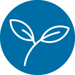 byliny