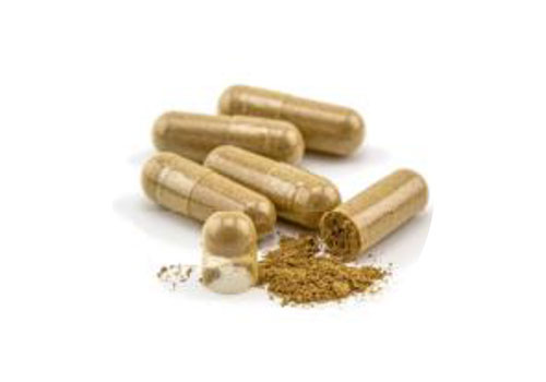 Terezia, B17 APRICARC, 100 % prírodné zloženie , pre celiatikov , silná kombinácia prípravku, obranyschopnosť, obehový systém, metabolizmus, činnosť srdca, únava, zdravá pokožka, tráviaci trakt, hliva ustricová, marhuľový olej