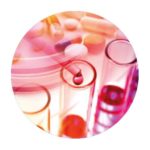 Generica, Prémiová kvalita produktov, certifikovaná výroba, Vitamíny skupiny B, Trávenie, detoxikácia, Imunita, Dôležité vitamíny a minerály, Výživové doplnky pre deti, VÝVOJ ZALOŽENÝ NA NAJNOVŠÍCH POZNATKOCH