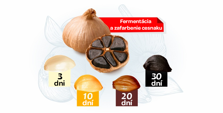 Terezia, cierny cesnak, imunita, srdce cievy, bez zápachu, nedráždi zažívacie ústrojenstvo, 100 prirodne, fermentacia 30 dní