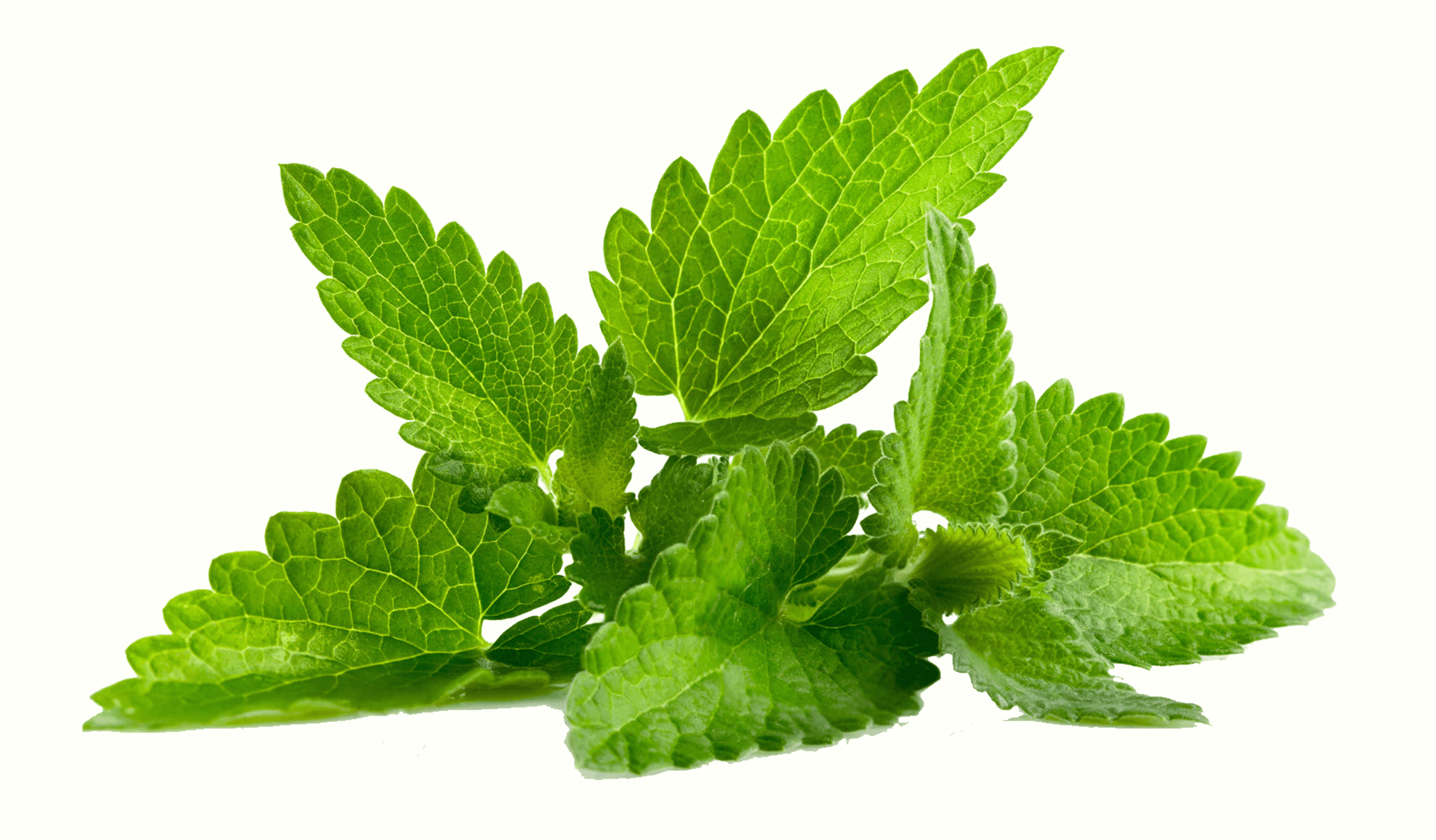 mint