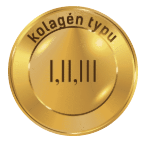 3 typy kolagénu (I, II, III).