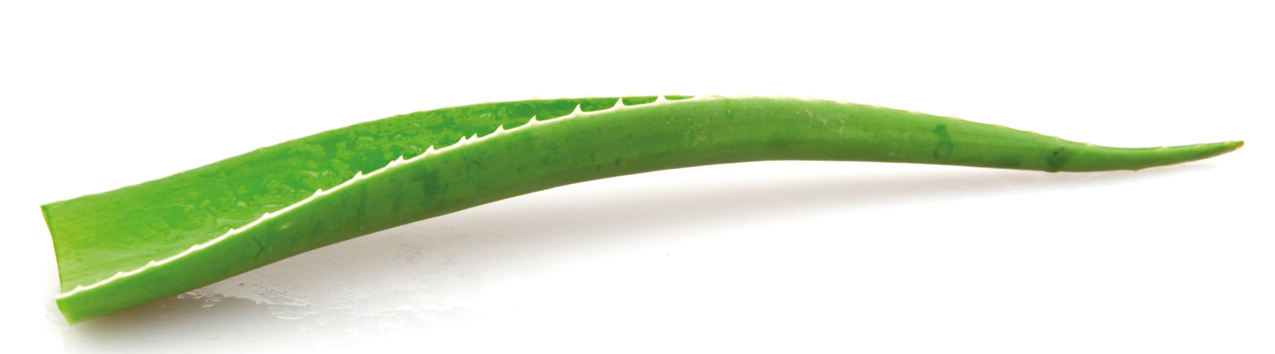 aloe vera list
