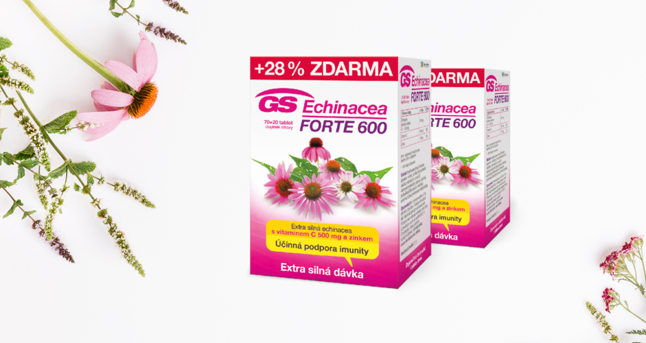 Echinacea