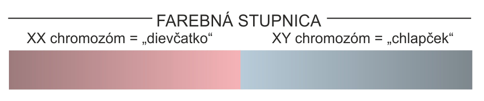 test pohlavia, chlapček alebo dievčatko, funguje po 10. týždni tehotenstva, 99% garancia