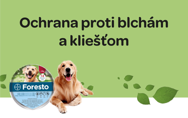 foresto ochrana
