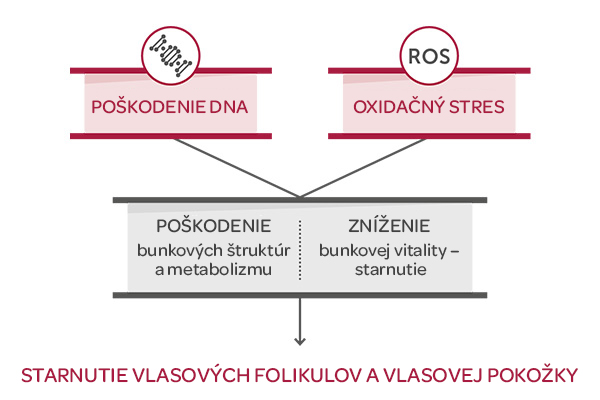 Revalid, Vlasová kozmetika, DN-age