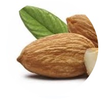 VITAMÍN B6 (pyridoxín)