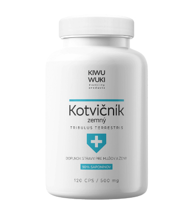 Kotvičník zemní, užívání
