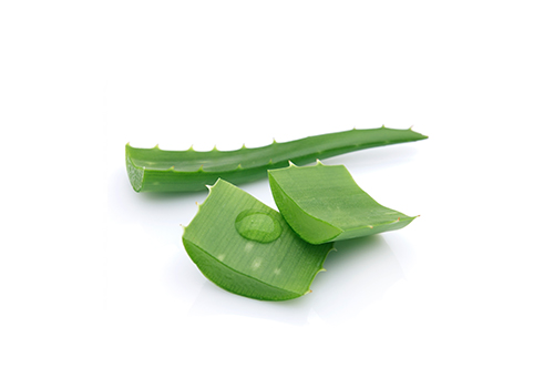 Aloa pravá (Aloe Barbadensis), Aphrodisia G