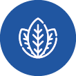 inofolic