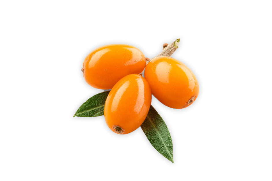 Revital Vitamín C, s obsahom rakytníka, podporuje imunitný systém, Prispieva k normálnemu stavu pokožky , vysoký obsah vitamínu C, E a karoténoidov
