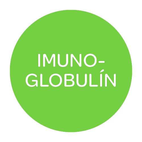 imunoglobin