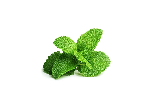 Mäta pieporná (Mentha piperita), Aphrodisia G
