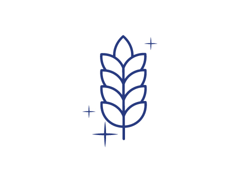 Akútne podpora imunity, čierny bez, medovka lekárska, vitamín c, zinok, S obsahem vlákniny (Inulín a galakto-oligosacharidy)