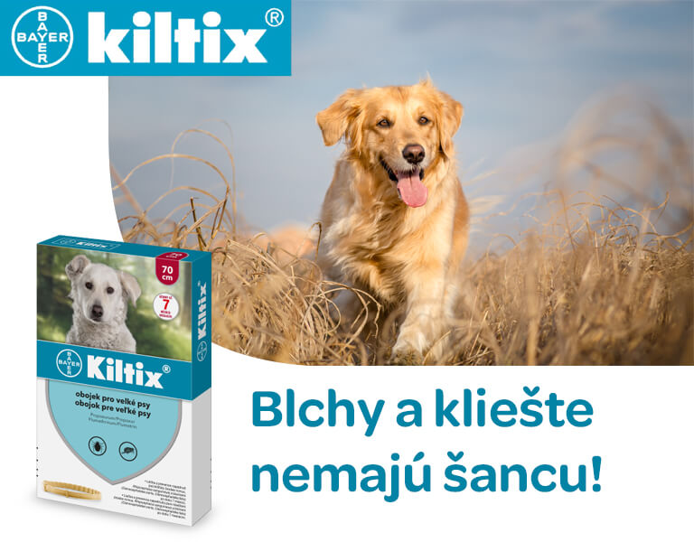 Kiltix obojok pre veľké psy, obvod 70 cm, banner