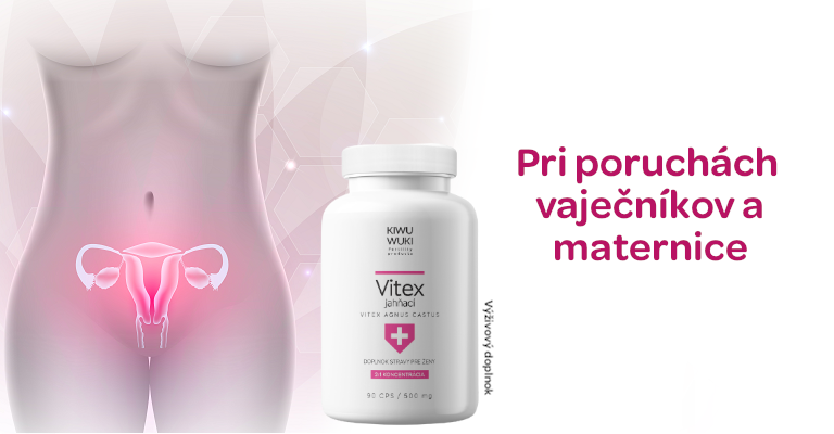 Doplnková liečba pri poruchách vaječníkov a maternice