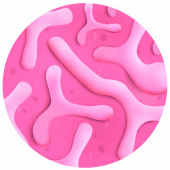 Probio24