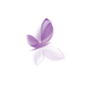 motýl
