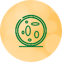 cévy