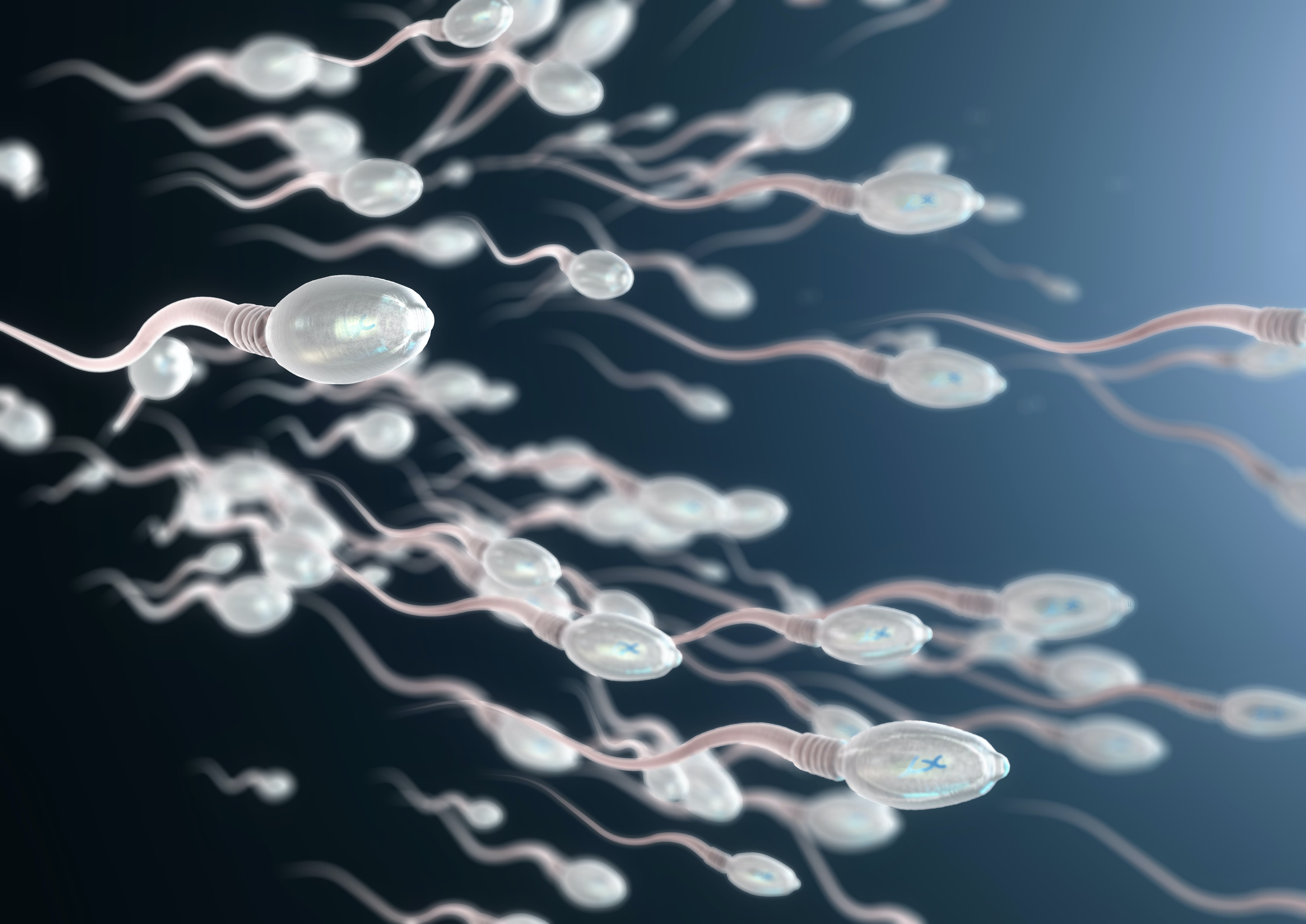 sperma