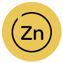 Zinok
