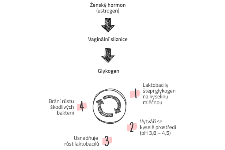 Lactacyd gél, intímny gél, kyselina mliečna