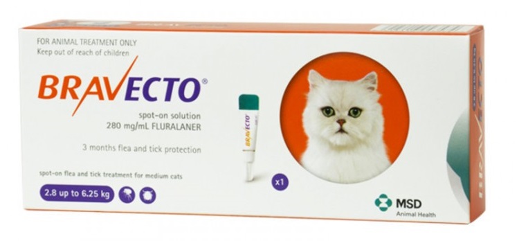 Obrázok Bravecto Cat M, spot-on roztok pre stredne veľké mačky (od 2,8 do 6,25 kg), 250mg