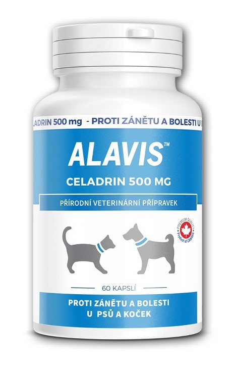 Obrázok Alavis Celadrin 500 mg, 318