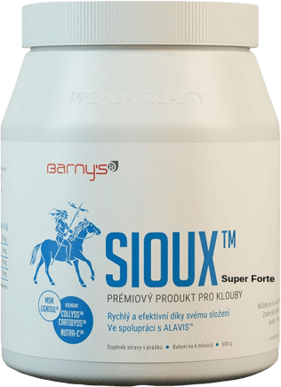 Obrázok BARNY'S Sioux MSM Super Forte prášok 1x600 g