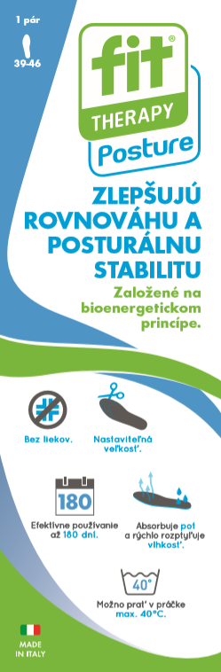 Obrázok FIT THERAPY Posture Vložky do topánok veľ. 39-46 pánske, 1x1 pár