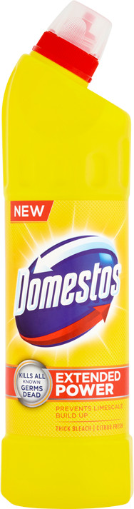 Obrázok Domestos 24h Citron Fresh 750 ml