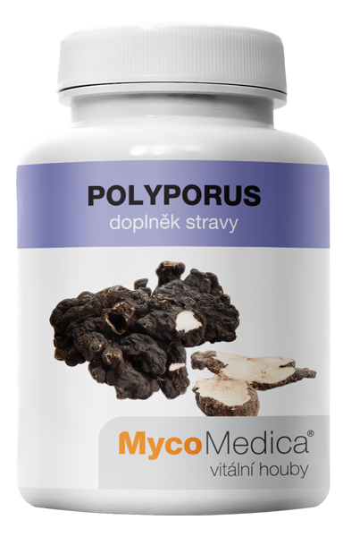 Obrázok MycoMedica Polyporus 90 kapsúl