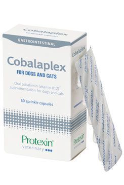 Obrázok Protexin Cobalaplex pro psy a  kočky 60cps