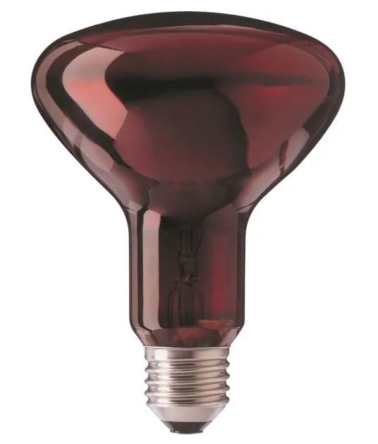 Obrázok PHILIPS 100W IR 95 