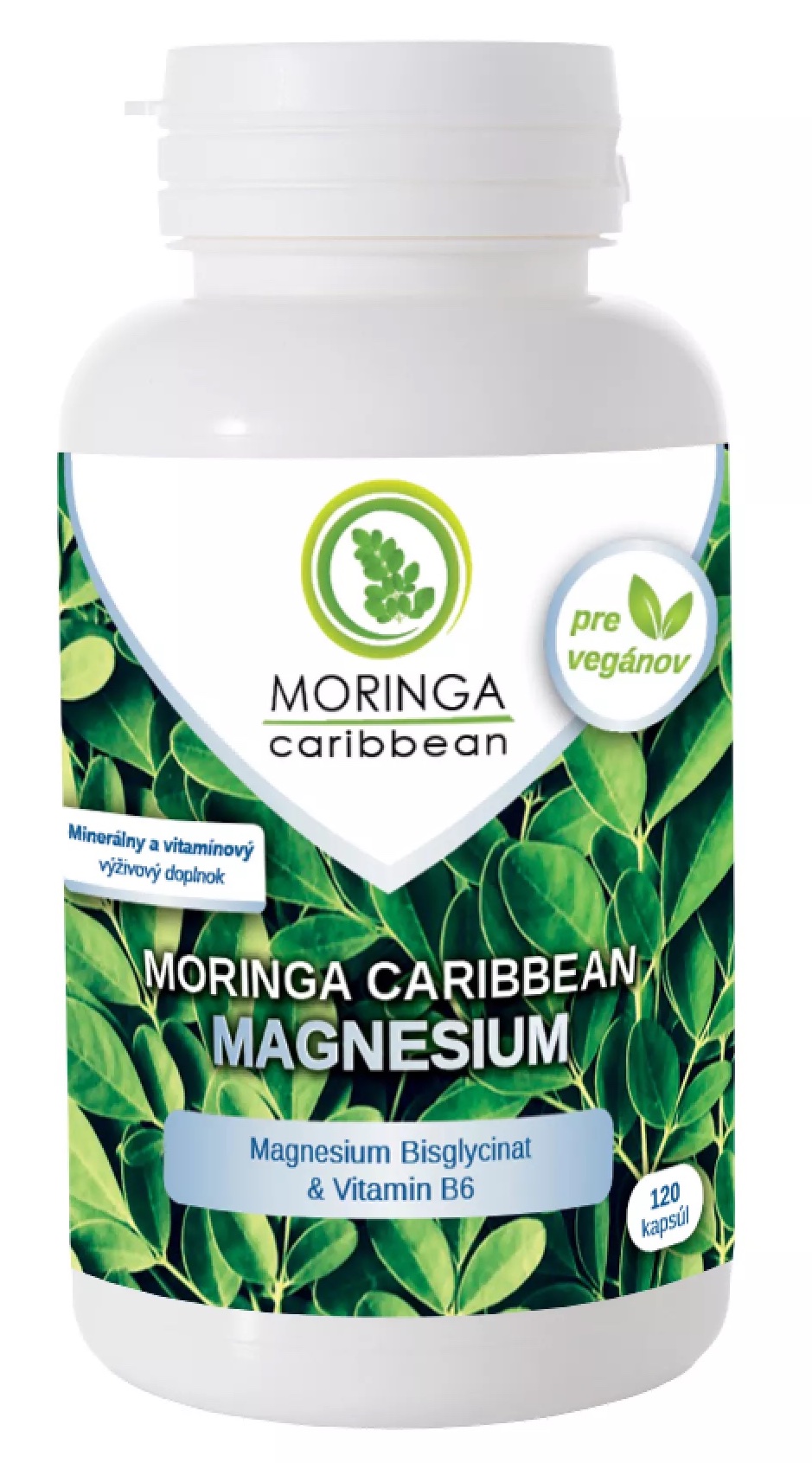 Obrázok MORINGA Moringa Caribbean MAGNESIUM, 120ks